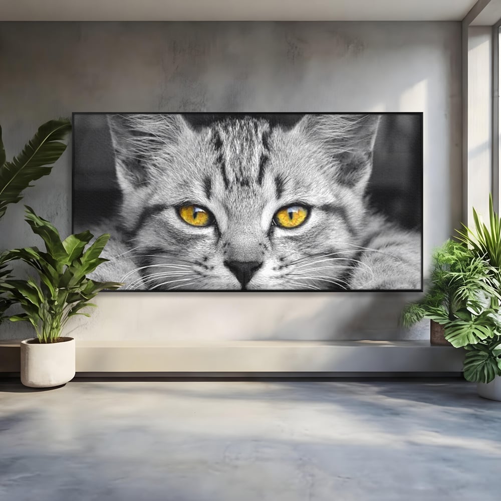 Tablou canvas cu tablou canvas cu o pisica alb-negru si ochi galbeni, in rama de aluminiu negru
